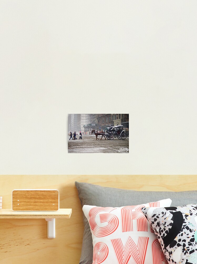Thumbnail 2 of 3, Photographic Print, Horse & Carriage in February Blizzard designed and sold by steeber.