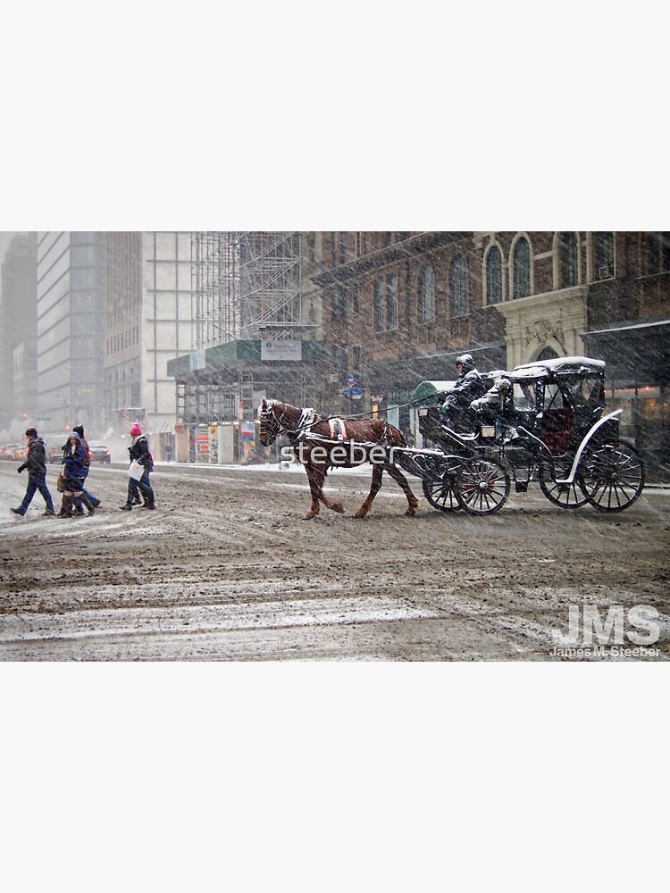 Thumbnail 3 of 3, Photographic Print, Horse & Carriage in February Blizzard designed and sold by steeber.
