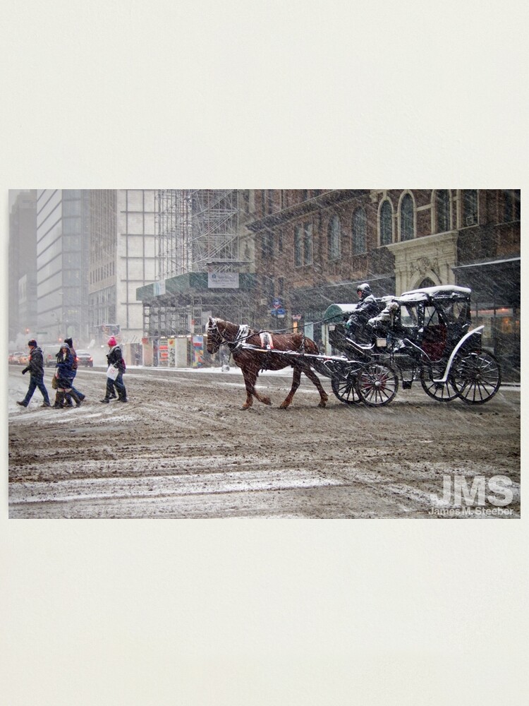 Thumbnail 1 of 3, Photographic Print, Horse & Carriage in February Blizzard designed and sold by steeber.