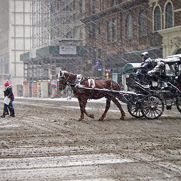 Artwork thumbnail, Horse & Carriage in February Blizzard by steeber