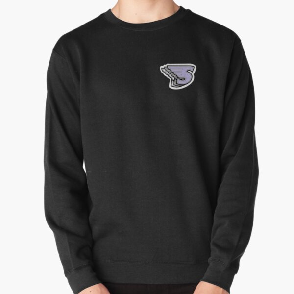 stonehill college sweatshirt