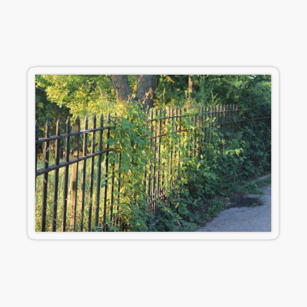 New York City, Brooklyn, Bay Ridge, Picket fence Transparent Sticker