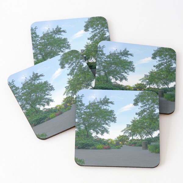 Item preview, Elevated Acre Park designed and sold by 00Flyer.