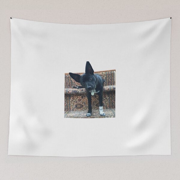 Item preview, ariana's dog again designed and sold by comingofage.