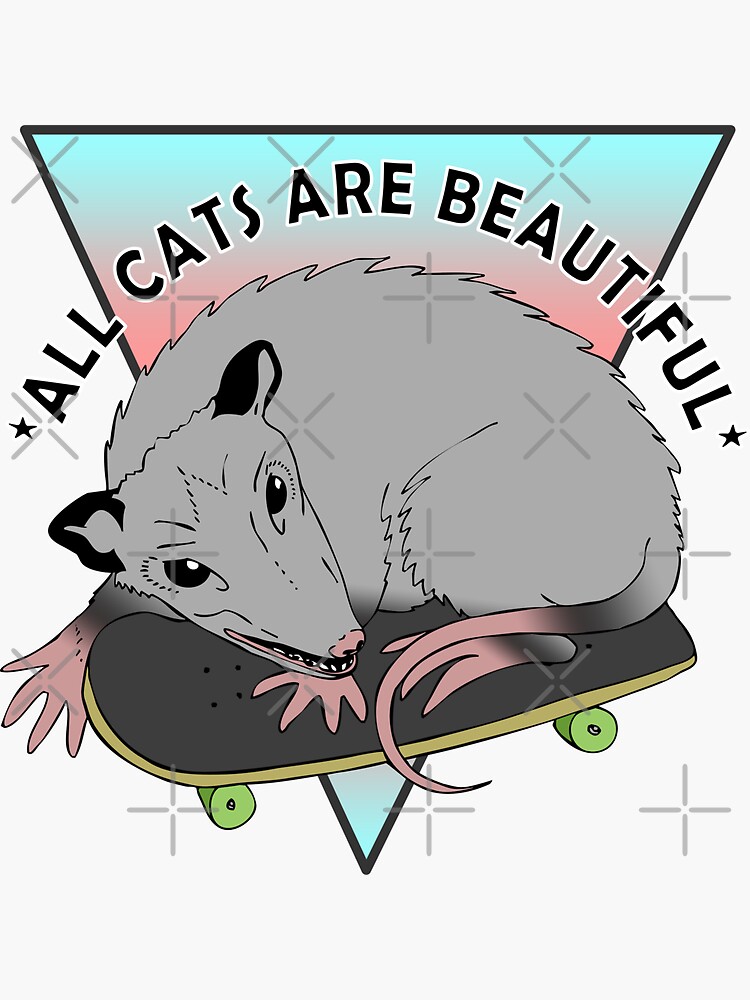 all cats are beautiful | trans flag skateboarding opossum by craftordiy