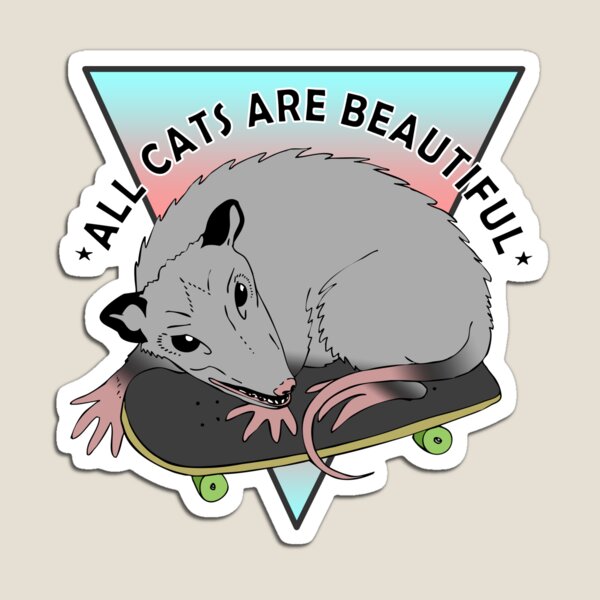 all cats are beautiful | trans flag skateboarding opossum Magnet