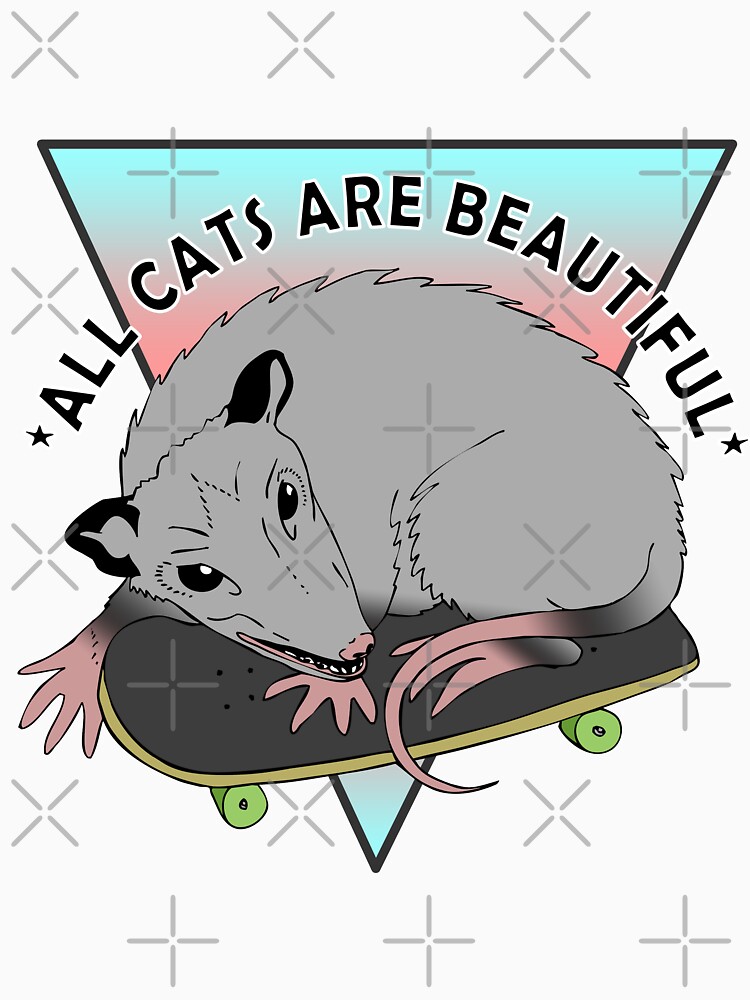 all cats are beautiful | trans flag skateboarding opossum by craftordiy