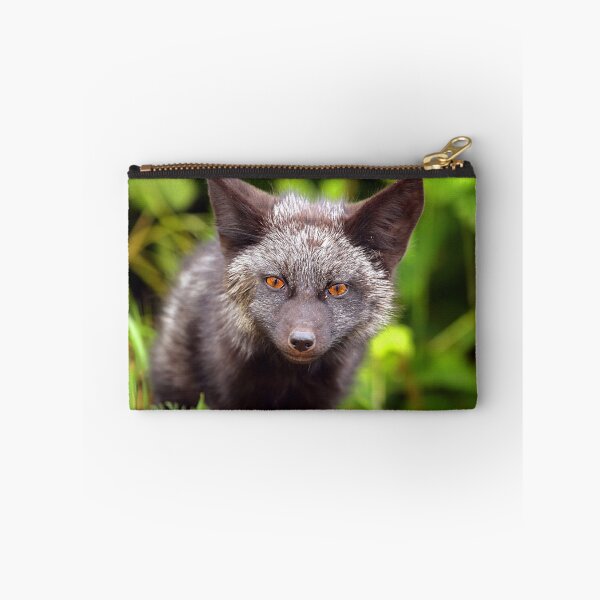 Artikelvorschau, Fox-Kit 2 entworfen und verkauft von Jim Stiles.