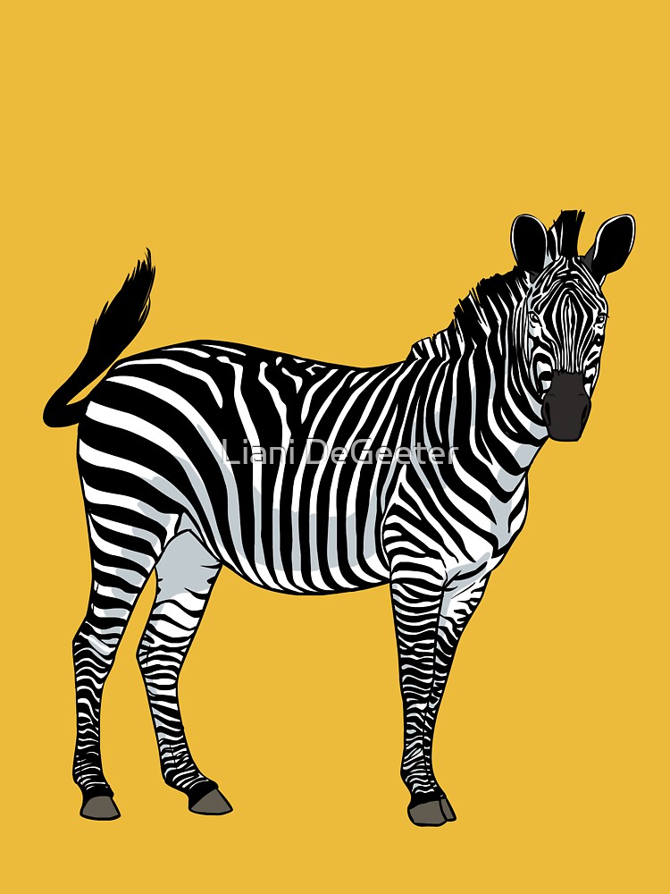 Solo Zebra