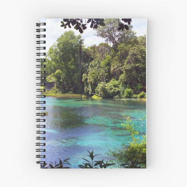 Item preview, Rainbow Springs designed and sold by hmclark.