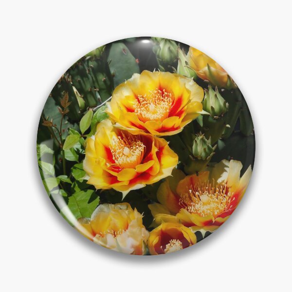 Item preview, The cactus flowers return. designed and sold by ROBERT NIEDERRITER.