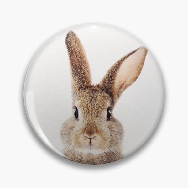 Aperçu de l'œuvre Bunny Rabbit, impression d'Art bébé animaux par Synplus créée et vendue par synplus.