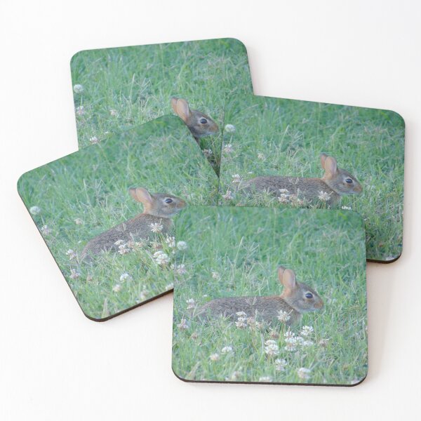 Item preview, Eastern Cottontail Rabbit Photograph designed and sold by Unboltingcat.