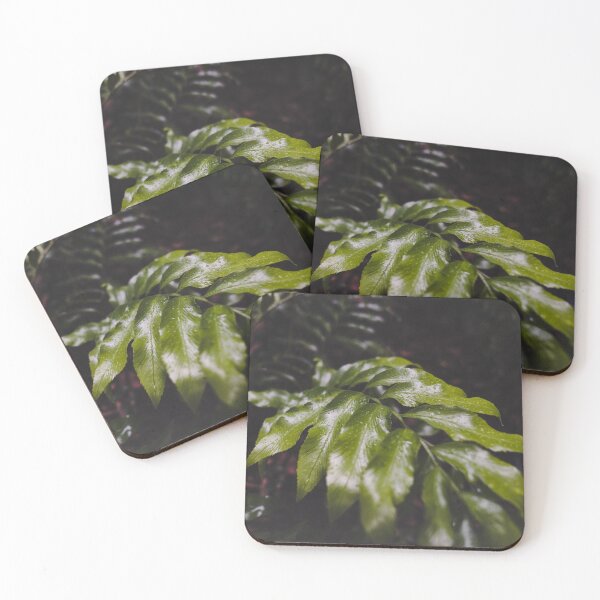 Item preview, Tropical leaf with raindrops  designed and sold by JonesyDave.