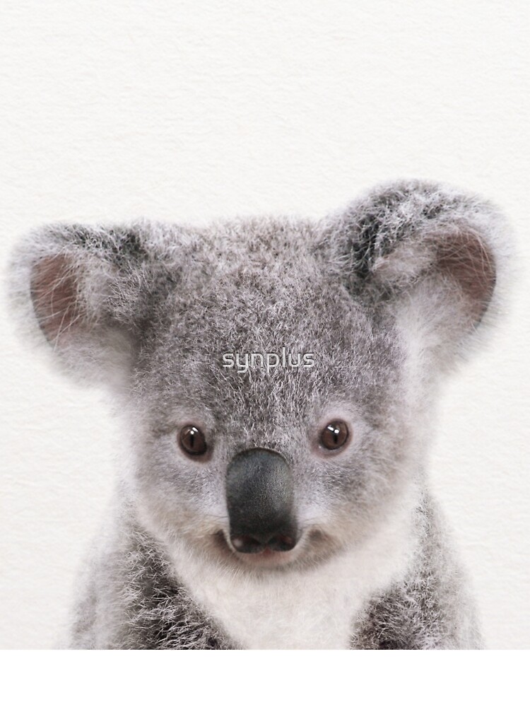 Baby Koala Baby Animals Art Print By Synplus Kids T Shirt By Synplus Redbubble