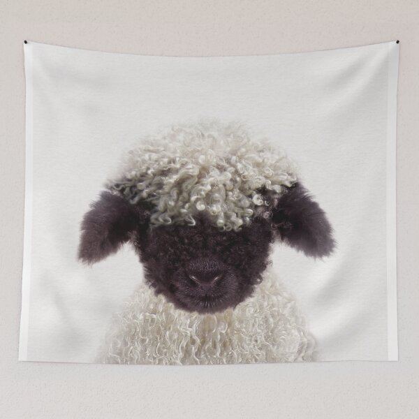Item preview, Baby Lamb, Baby Animals Art Print by Synplus designed and sold by synplus.