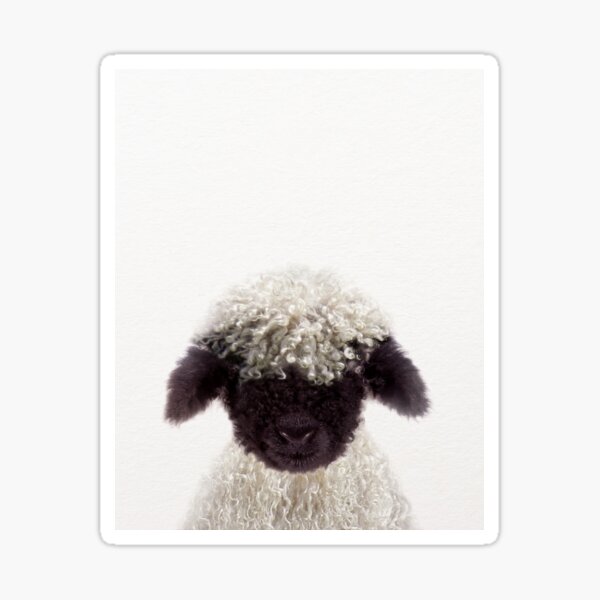 Vista previa del artículo con la obra «Lámina Baby Lamb, Baby Animals de Synplus», diseñado y vendido por synplus.