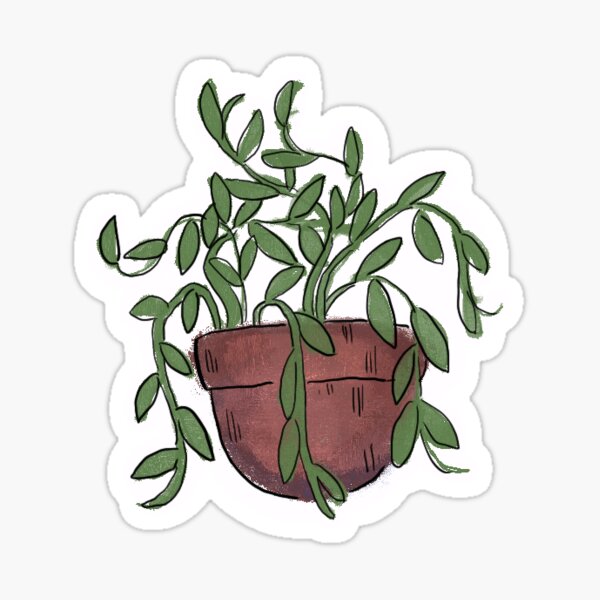 Mini succulents Sticker for Sale by Morganmiller314