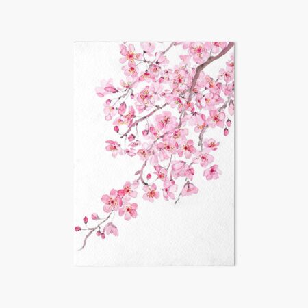 POPOLARE coreano Pink Blossom/Cherry Blossom Morph Tazza-BOX imballato 