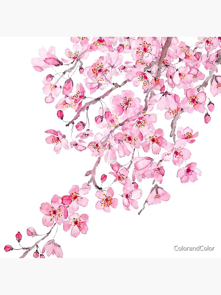 Thumbnail 5 of 5, Coasters (Set of 4), hand painted hand painted pink cherry blossom watercolor 2020 designed and sold by ColorandColor.
