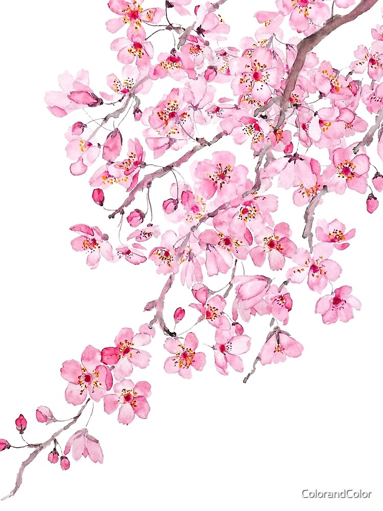 Thumbnail 5 von 5, Grafik T-Shirt, handgemaltes handgemaltes rosa kirschblütenaquarell 2020 designt und verkauft von ColorandColor.