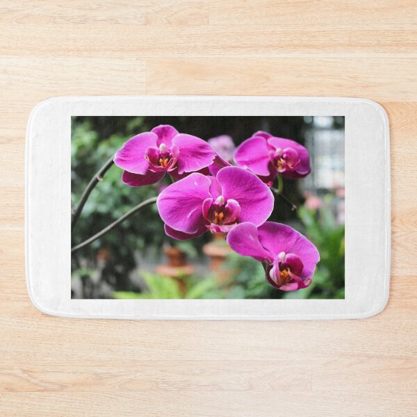 Item preview, Orchids from Washington DC designed and sold by 2Canons.