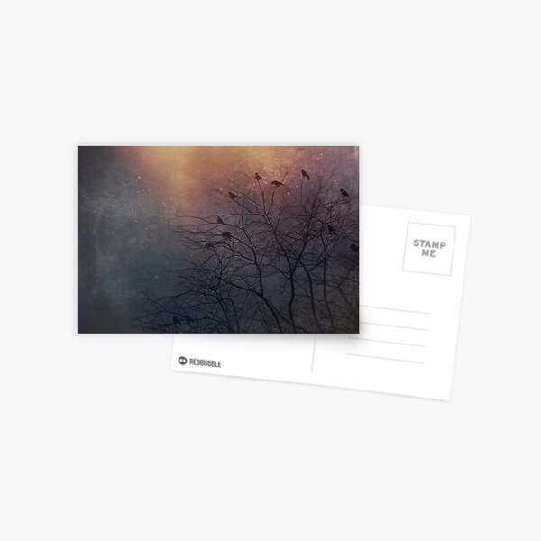Winter Is Coming - Crows Postcard