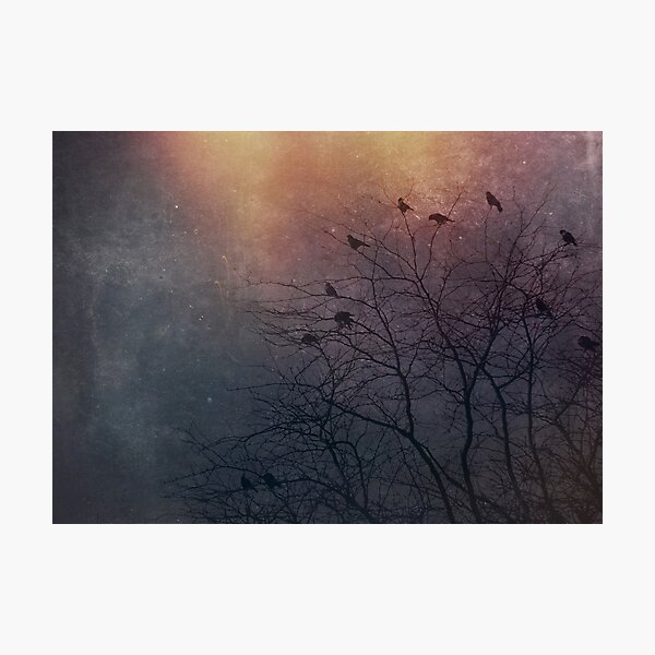 Winter Is Coming - Crows Photographic Print