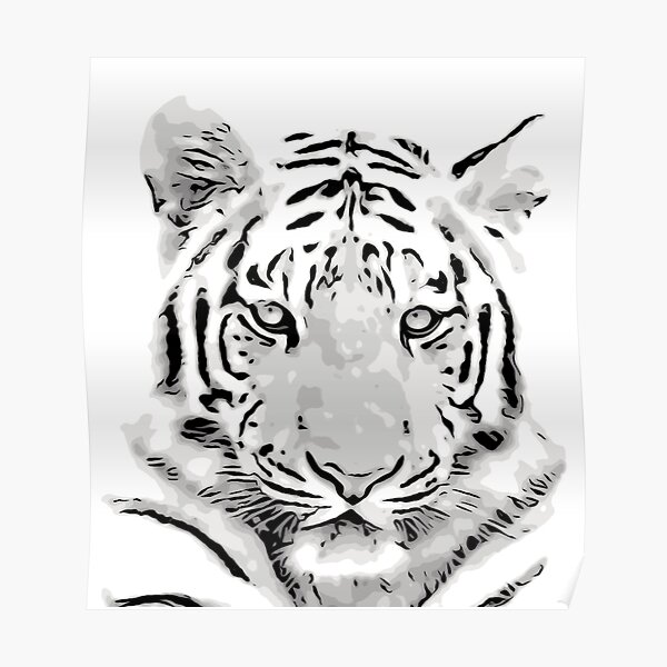 "Black and White Tiger " Poster by gracevanderveen Redbubble