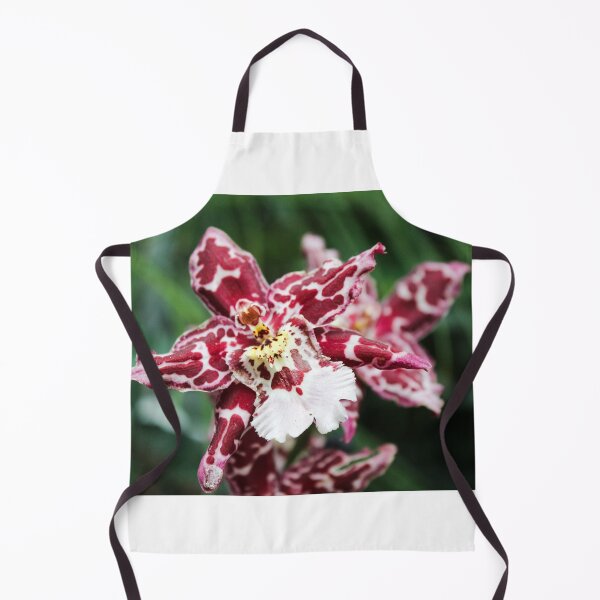 Item preview, Odontoglossum Ochid designed and sold by 2Canons.
