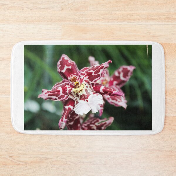Item preview, Odontoglossum Ochid designed and sold by 2Canons.