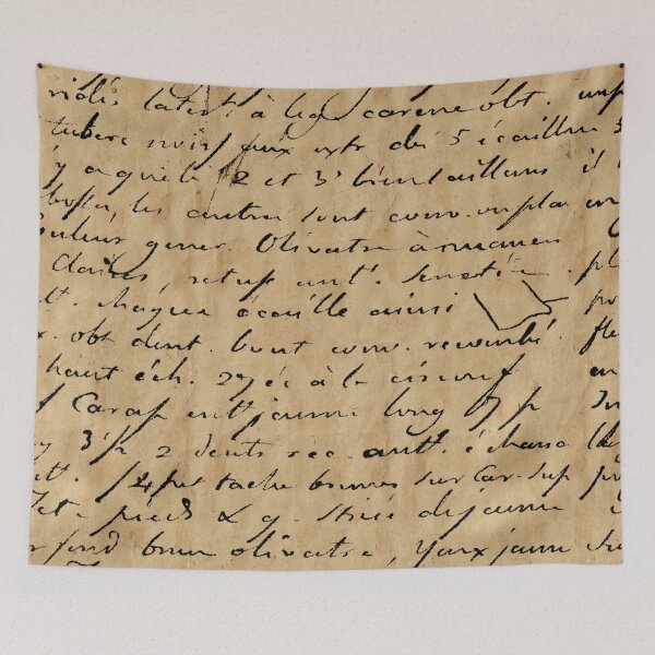 Item preview, Old Writing designed and sold by Lisa Johnson.