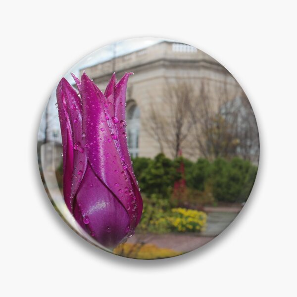 Item preview, The United States Botanical Garden designed and sold by 2Canons.