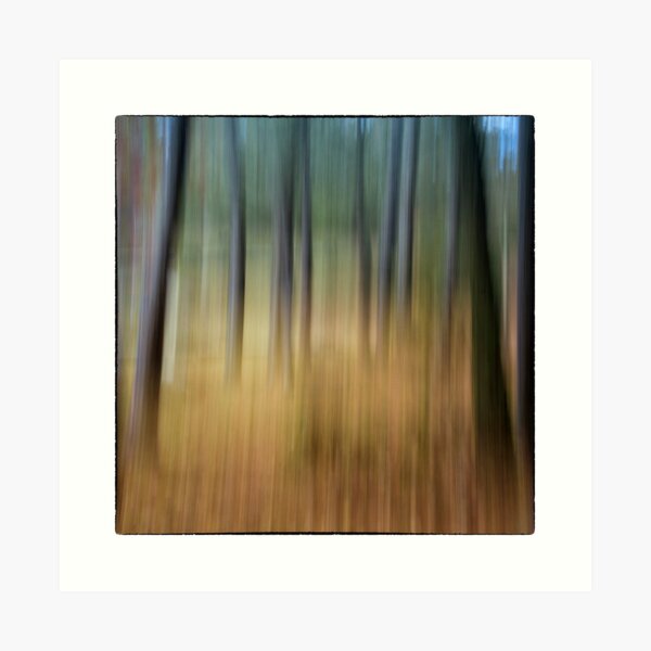 Painted Forest Art Print