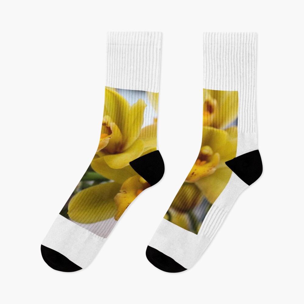 Item preview, Socks designed and sold by 2Canons.