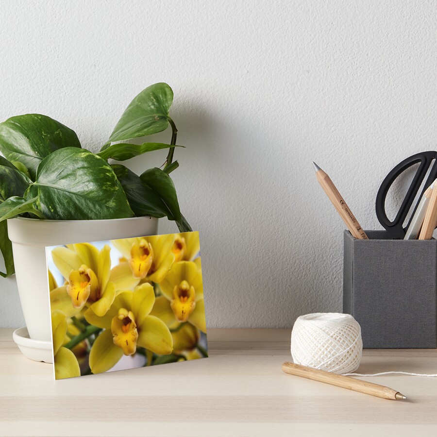 Item preview, Art Board Print designed and sold by 2Canons.