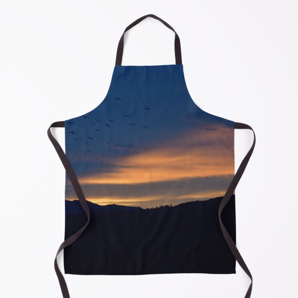 Aperçu de l'œuvre Coucher de soleil sombre avec des oiseaux créée et vendue par tripode.