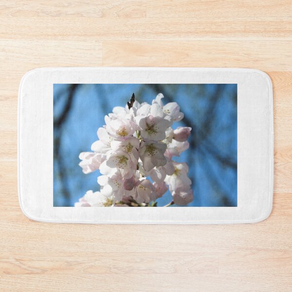 Item preview, Cherry blossoms April 2014 designed and sold by 2Canons.