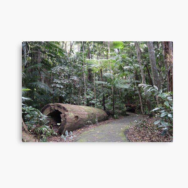 Item preview, A walk in the rainforest  designed and sold by NJH110.