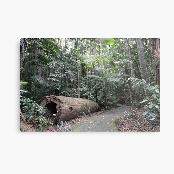 Item preview, A walk in the rainforest  designed and sold by NJH110.