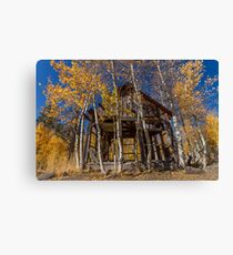 Old Cabin on North Shore Boulevard Canvas Print