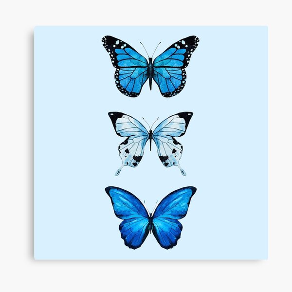 Song of a Butterfly print by Ashvin Harrison