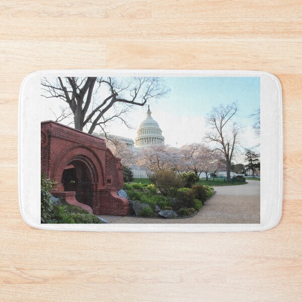 Item preview, A side view of the U.S. Capitol designed and sold by 2Canons.