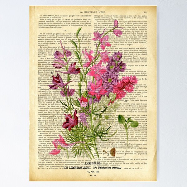 Artikel-Vorschau von Botanischer Druck auf alter Buchseite - Gartenblumen - rosa, designt und verkauft von Art by Lilia.
