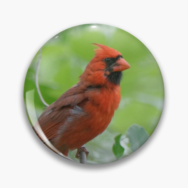 Item preview, Northern Cardinal in a tree designed and sold by rodmacpherson.