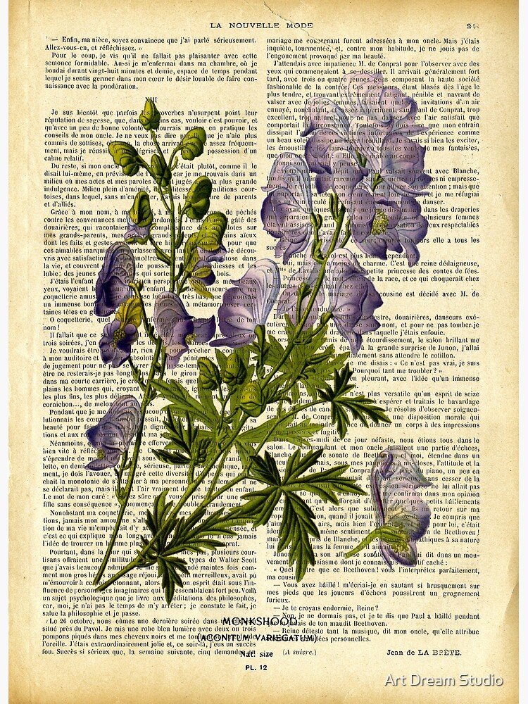 Canva Là Gì? Khám Phá Công Cụ Thiết Kế Đồ Họa Đa Năng Dành Cho Mọi Người