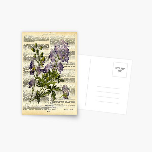 Item preview, Botanical print, on old book page - garden flowers - delphinium designed and sold by Art by Lilia.