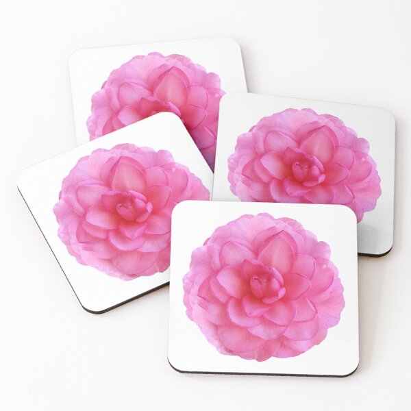 Item preview, camelia designed and sold by SoxyFleming.