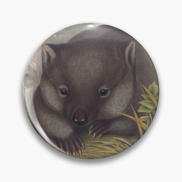 Item preview, Phascolomy's Wombat (Common Wombat) by Henry Richter designed and sold by TheCurators.