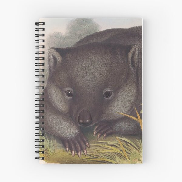 Item preview, Phascolomy's Wombat (Common Wombat) by Henry Richter designed and sold by TheCurators.